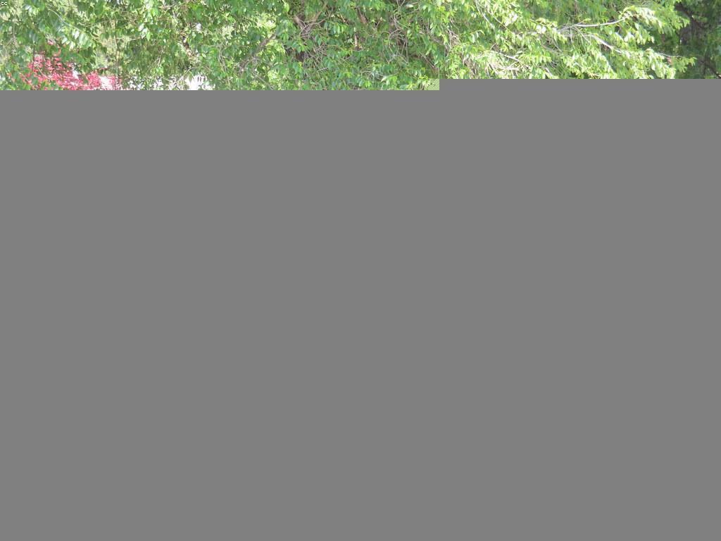 យុទ្ធសាស្ត្រសម្រាប់ការពារសុវត្ថិភាពផ្ទាល់ខ្លួន